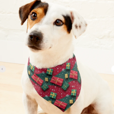 A dog wearing a bandana