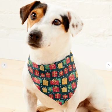 Christmas Presents on Green with Snowflakes Pattern Pet Bandana