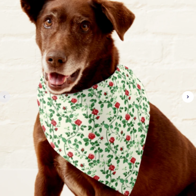 Red Climbing Roses on Cream Pattern Pet Bandana