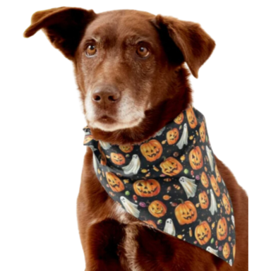 Jack-o-Lanterns and Ghosts with Halloween Candy Pattern Pet Bandana